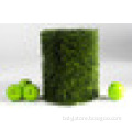 Bicolor synthetic grass